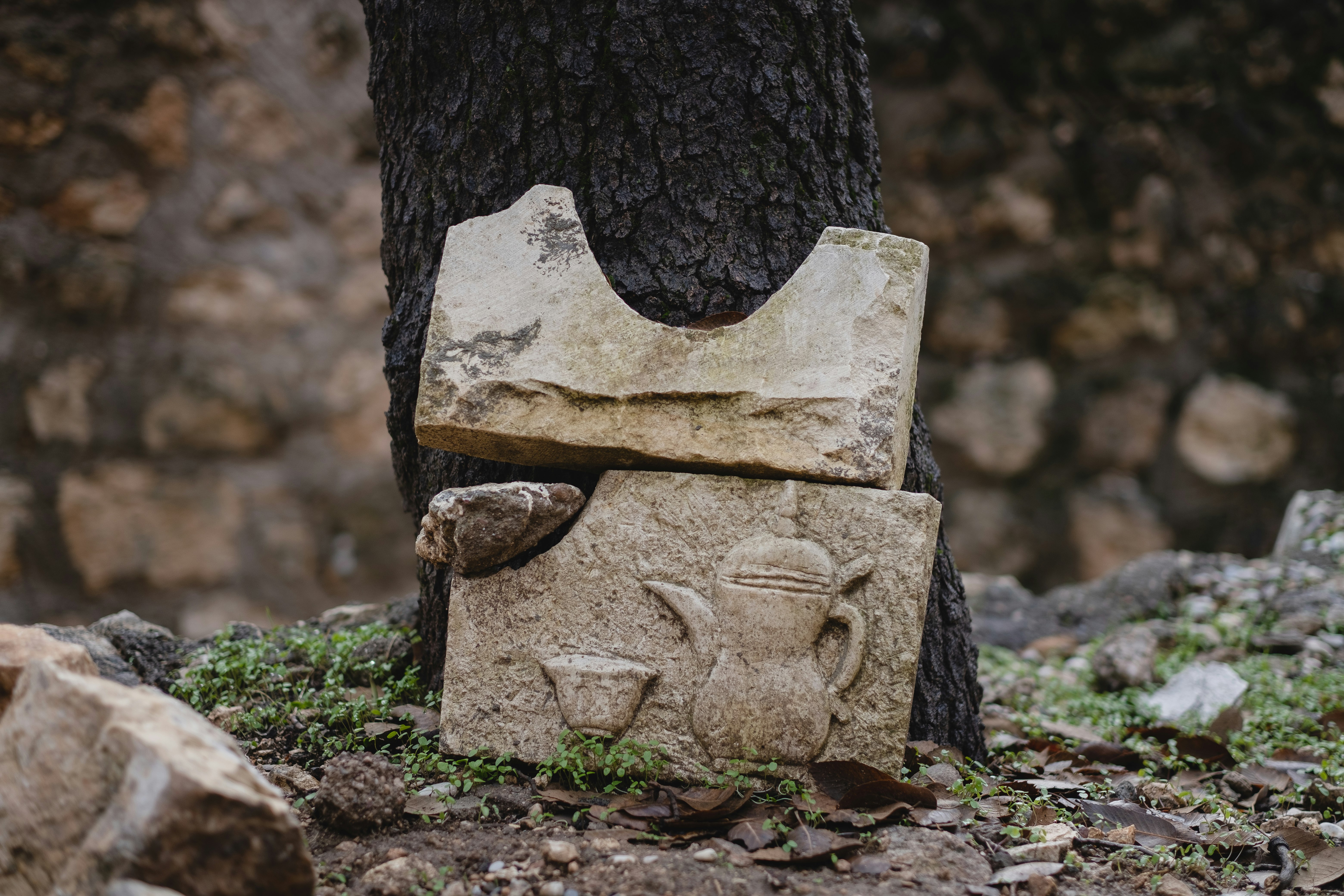 brown and white stone on ground